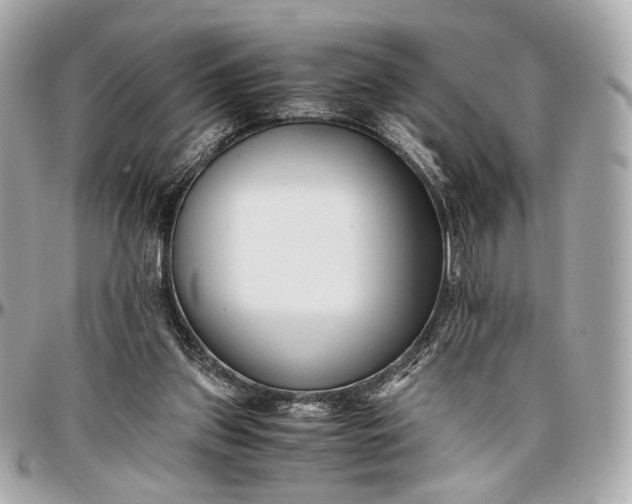 X0000096980157200802221442