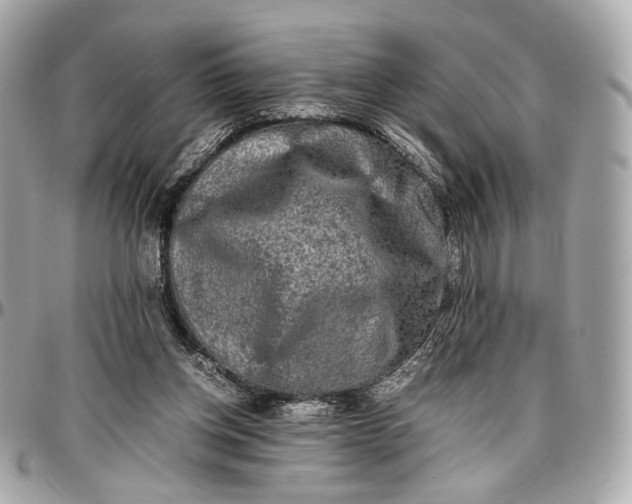 X0000096980158200802221442