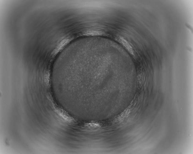 X0000096980159200802221442