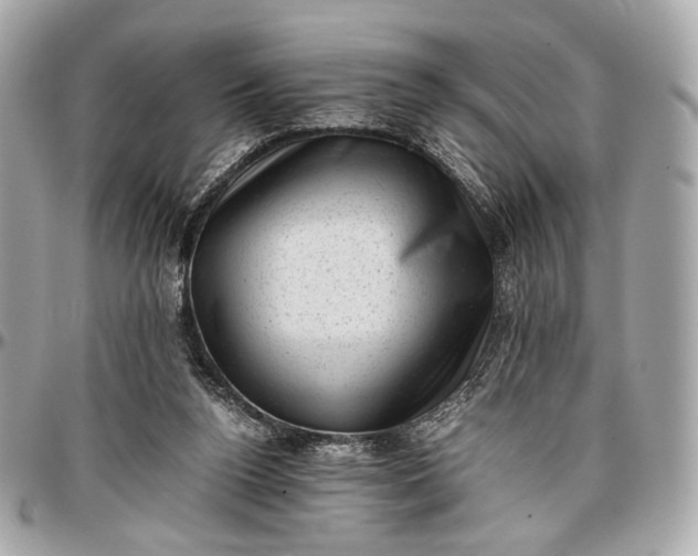 X0000096980160200802221442