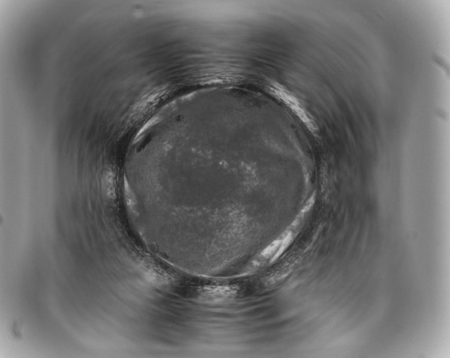 X0000096980161200802221442