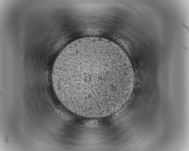 X0000096980162200802221442