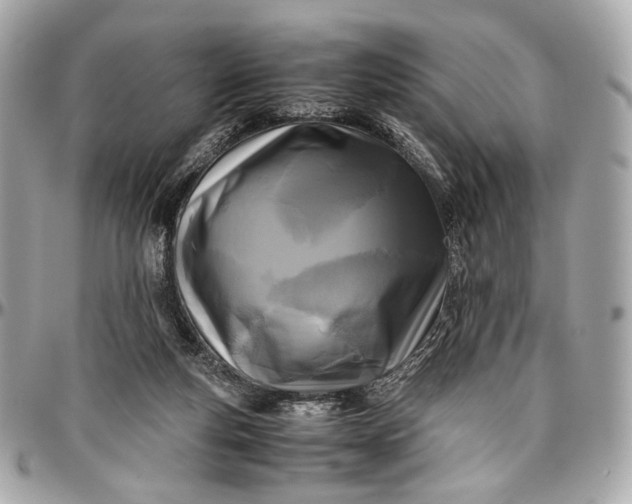 X0000096980163200802221442