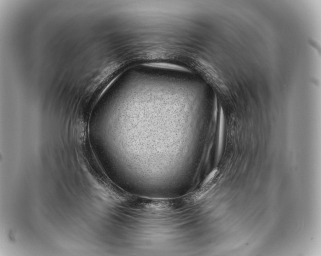 X0000096980164200802221442