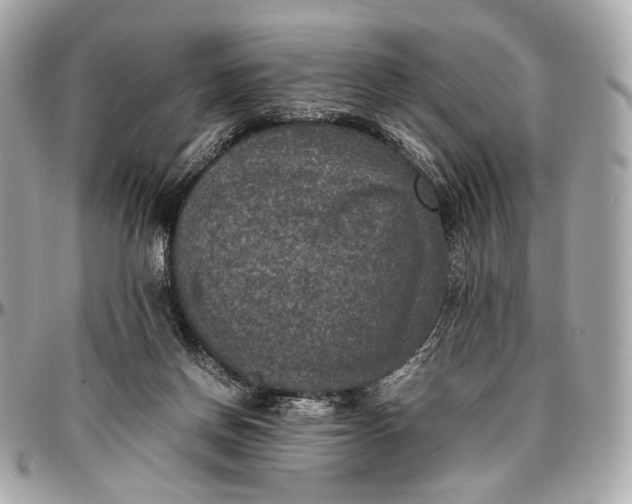 X0000096980166200802221442