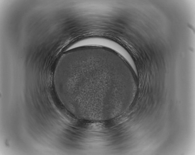 X0000096980168200802221442