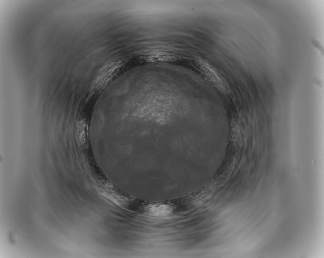 X0000096980169200802221442