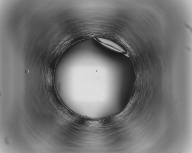 X0000096980170200802221442