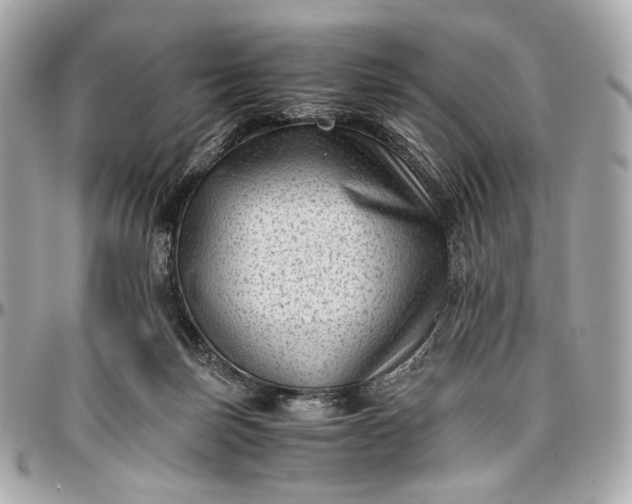 X0000096980171200802221442