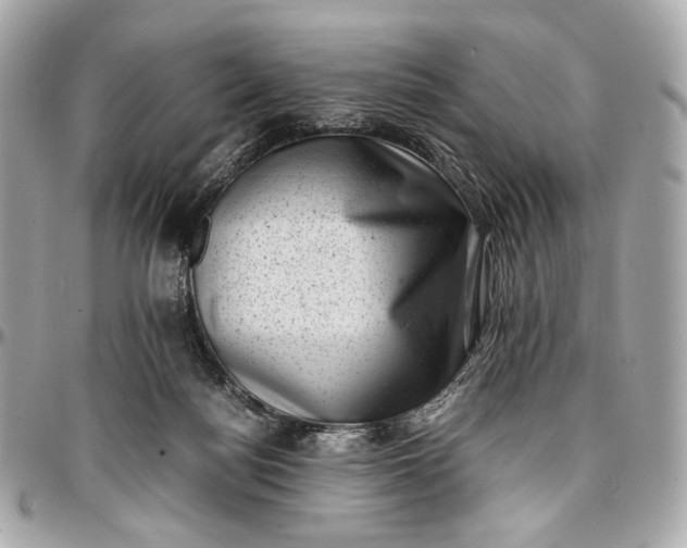 X0000096980172200802221442