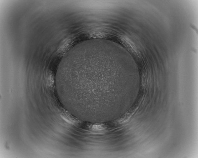 X0000096980173200802221442