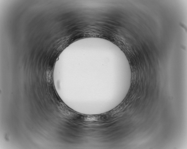 X0000096980177200802221442