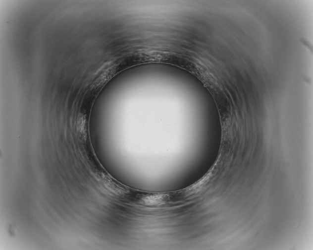 X0000096980178200802221442