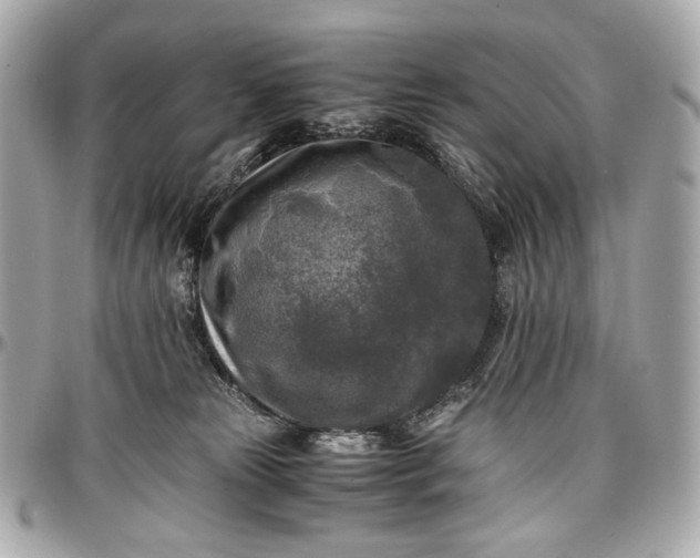 X0000096980181200802221442