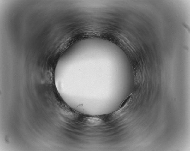 X0000096980183200802221442