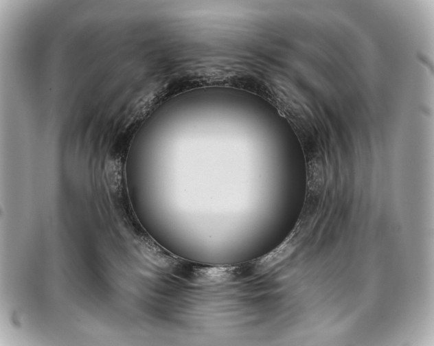 X0000096980184200802221442