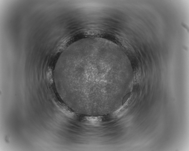 X0000096980187200802221442