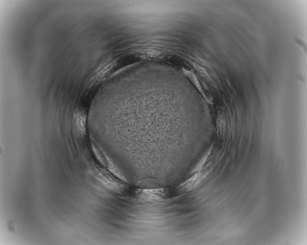 X0000096980188200802221442