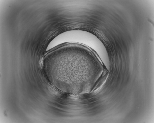 X0000096980190200802221442