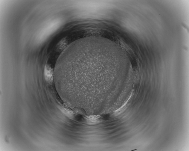 X0000096980191200802221442