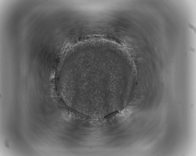 X0000096980192200802221442