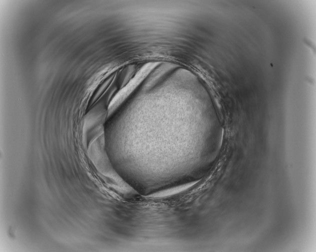 X0000096980193200802221442