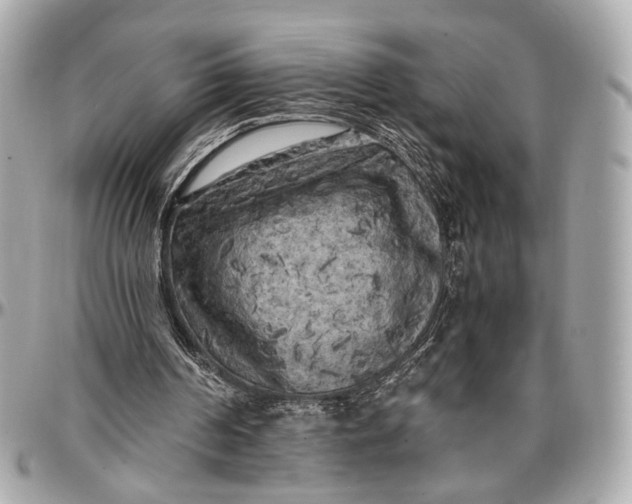 X0000096980194200802221442