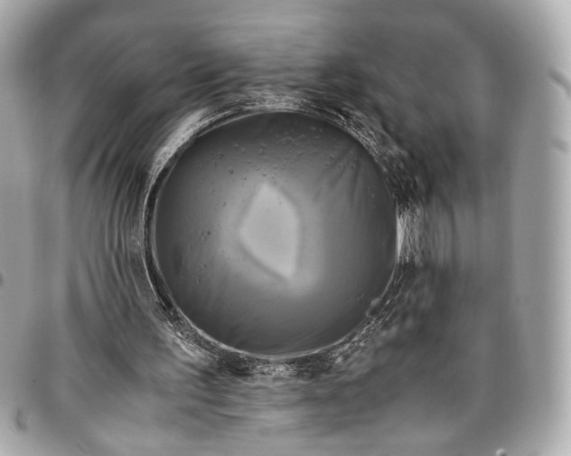 X0000096980195200802221442