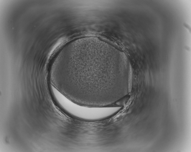 X0000096980197200802221442