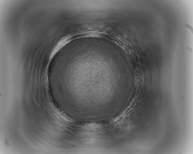 X0000096980198200802221442