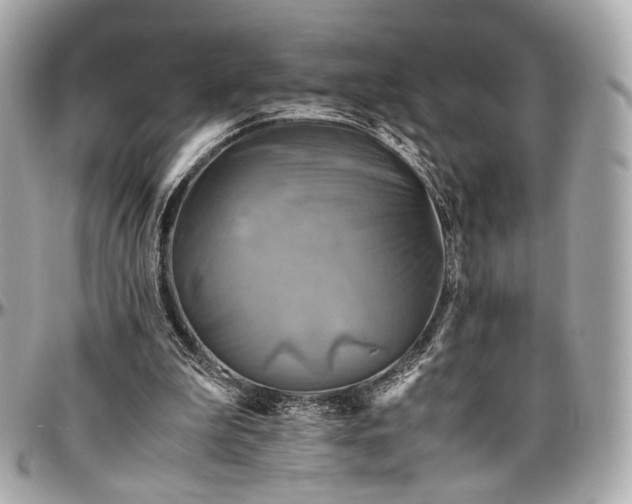 X0000096980199200802221442