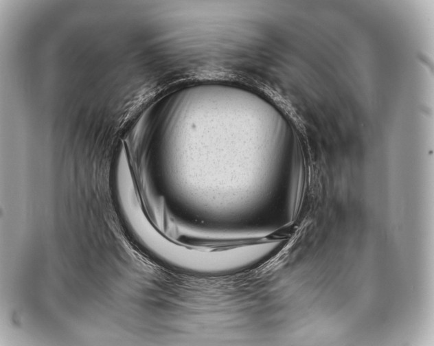 X0000096980201200802221442