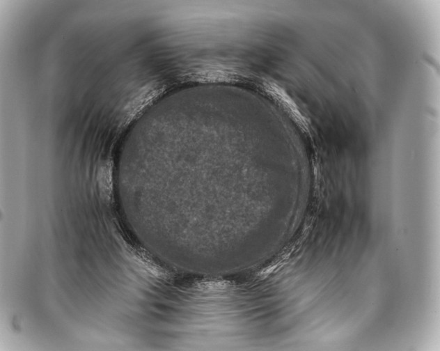 X0000096980202200802221442