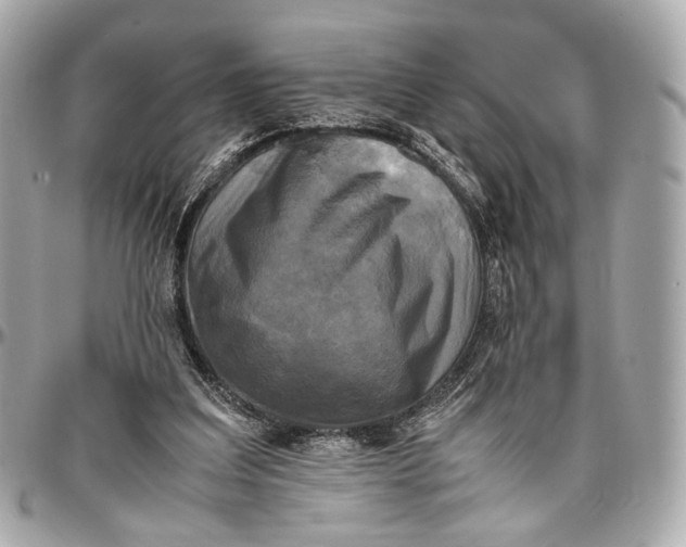 X0000096980203200802221442