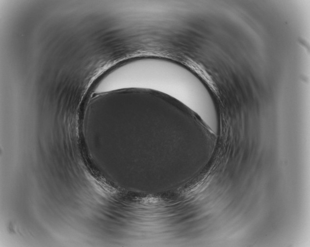 X0000096980204200802221442