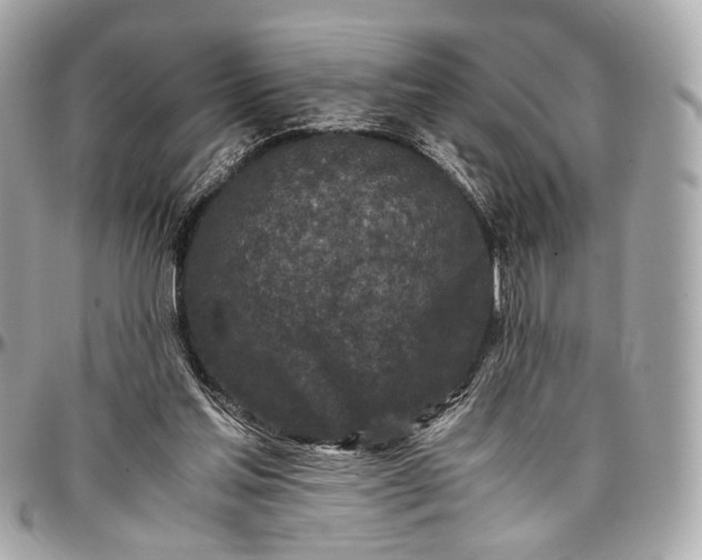 X0000096980205200802221442