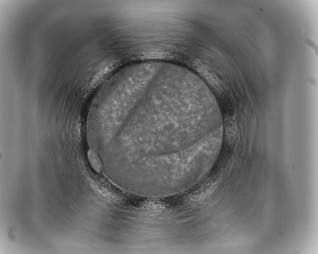 X0000096980207200802221441