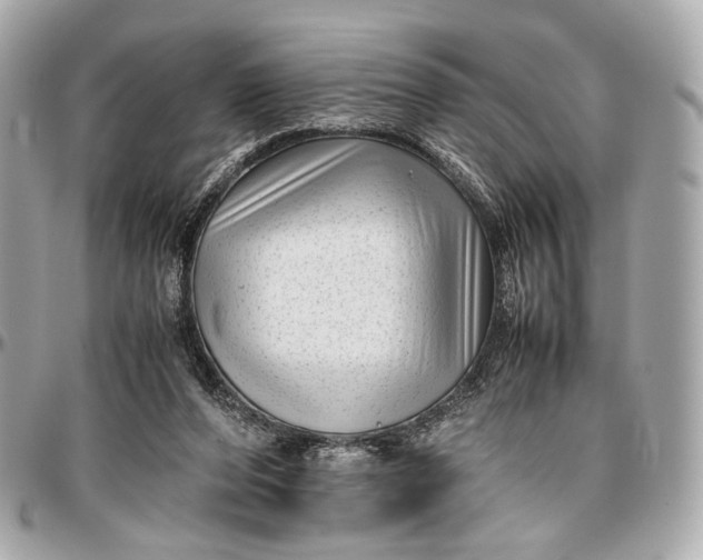 X0000096980208200802221441