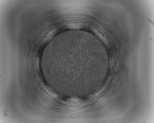 X0000096980209200802221441