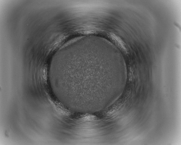 X0000096980210200802221441