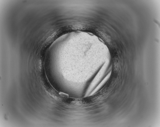 X0000096980211200802221441