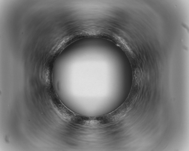 X0000096980212200802221441