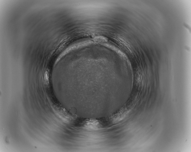 X0000096980214200802221441