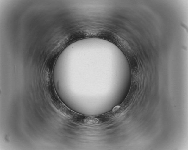 X0000096980215200802221441