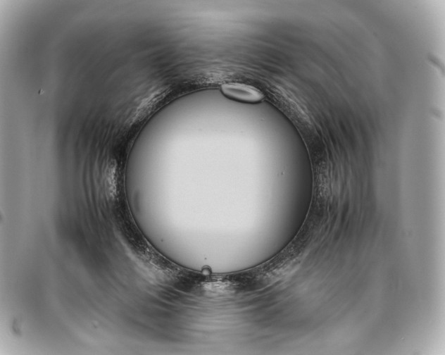 X0000096980216200802221441