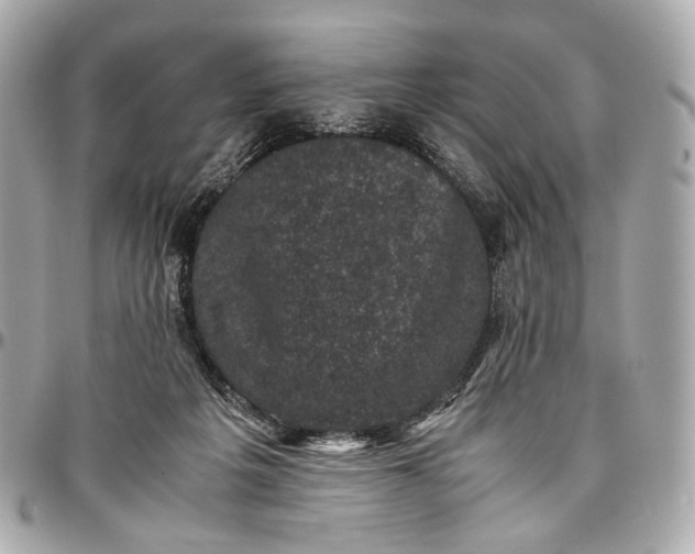 X0000096980217200802221441