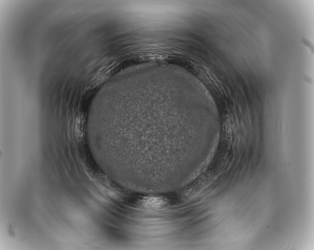 X0000096980218200802221441