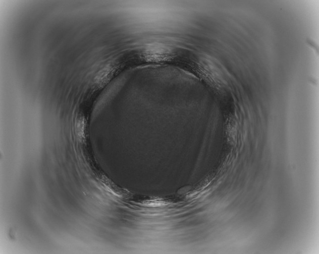 X0000096980219200802221441