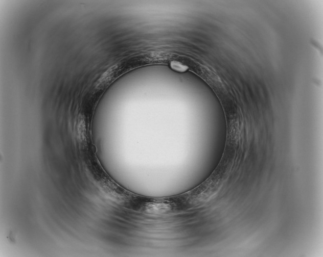 X0000096980220200802221441