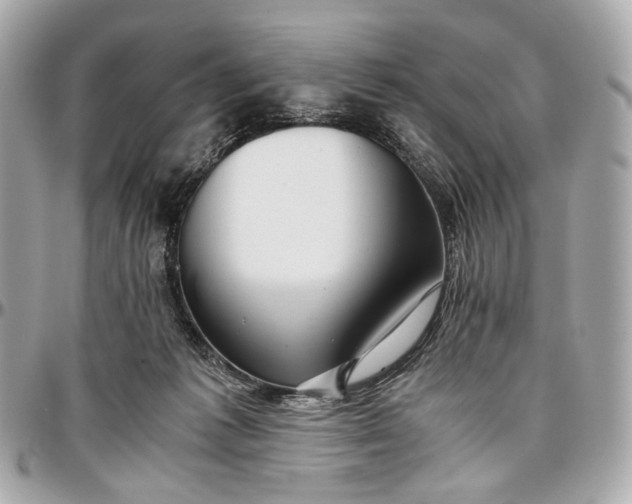 X0000096980221200802221441